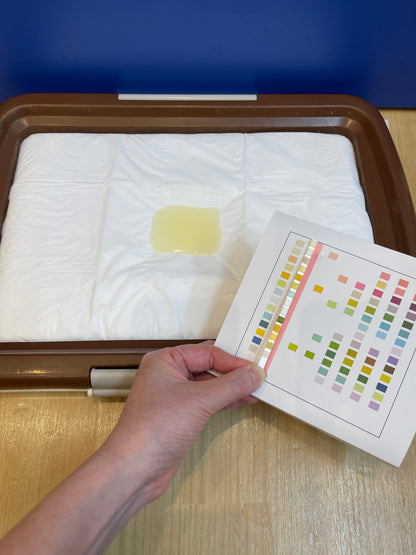 [Buddy Medical Check] Urine Test Kit Only: