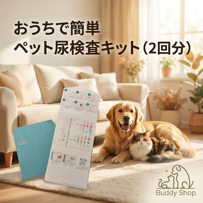 [Buddy Medical Check] Urine Test Kit Only: